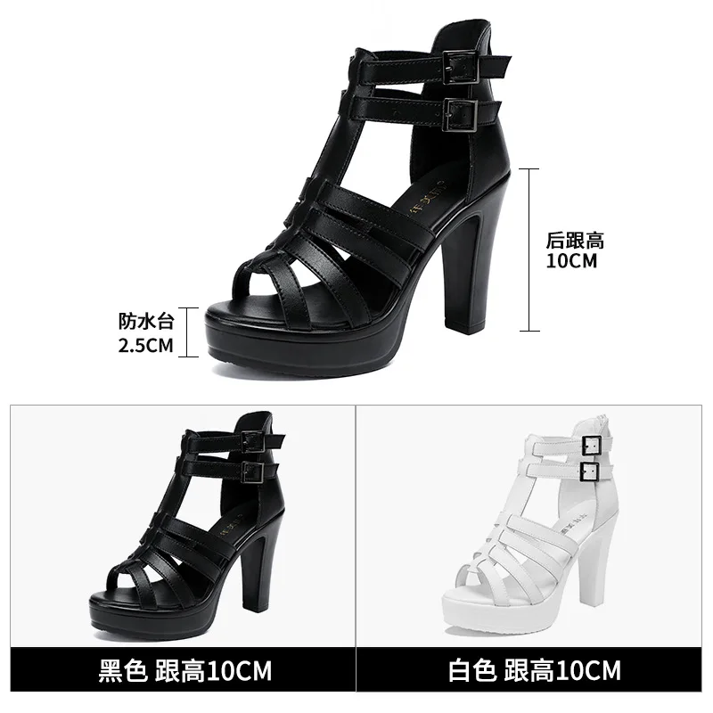 รองเท้ากลาดิเอเตอร์สตรีรองเท้า - Gladiator Sandal Women บทวิจารณ์และราคา